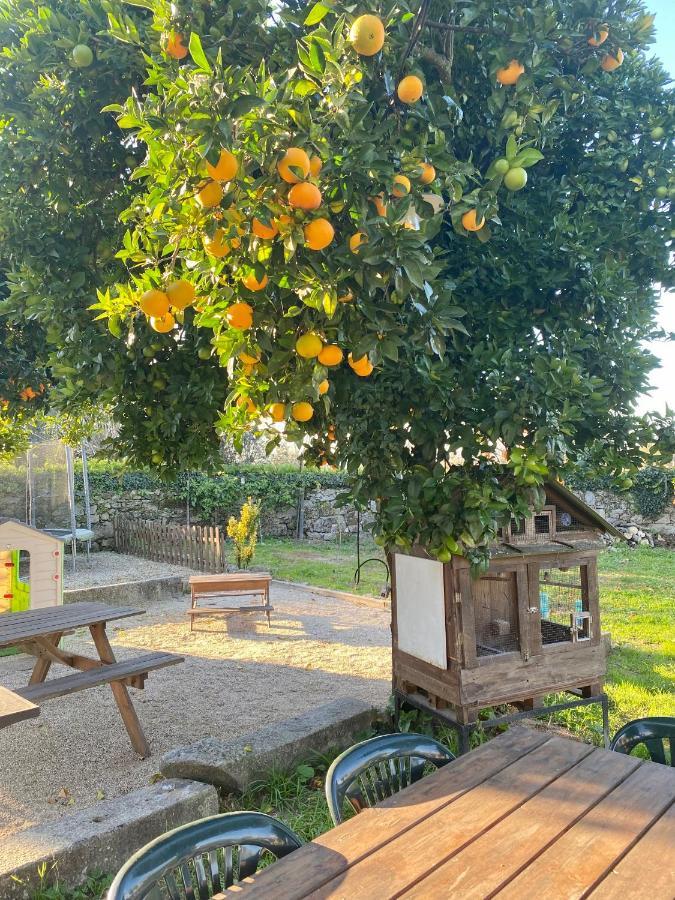 Apartment Quinta De Areias Crespos 외부 사진