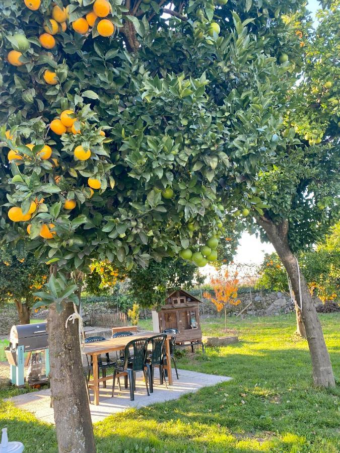 Apartment Quinta De Areias Crespos 외부 사진