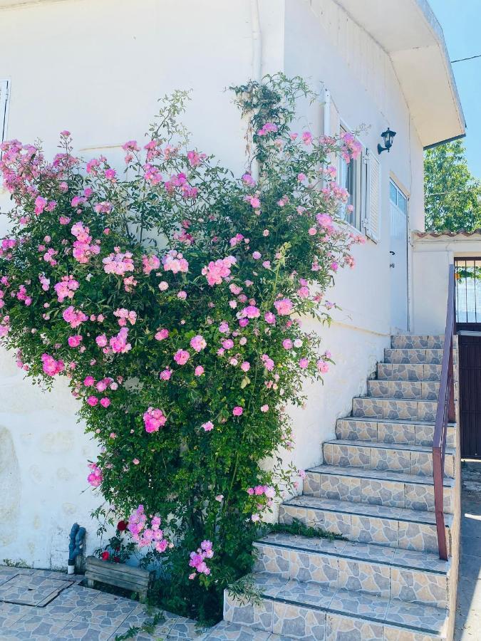 Apartment Quinta De Areias Crespos 외부 사진